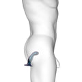 Strap On Me - Dildo Plug Snaky Metallic Blue - M New Products / Sex Toys / Dildos / Strap ons / Your Pleasure Toys