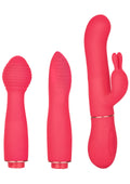 Dynamic Trio Interchangeable Vibrator Interchangeable Vibrator In Touch